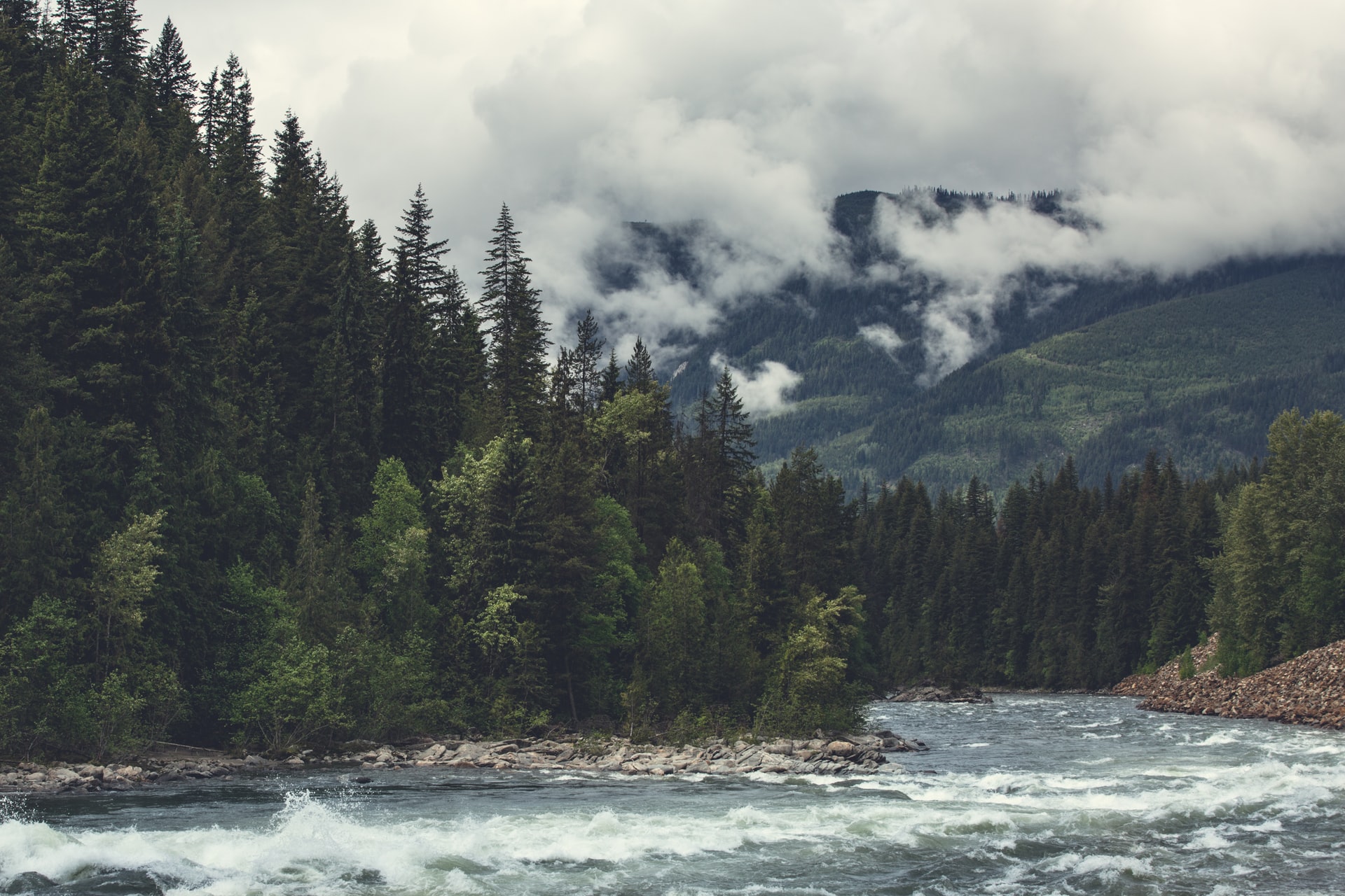 image of adams river near Kamloops, BC and the Shuswap