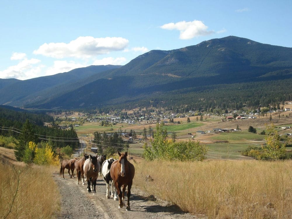 A picture of the Village of Clinton.