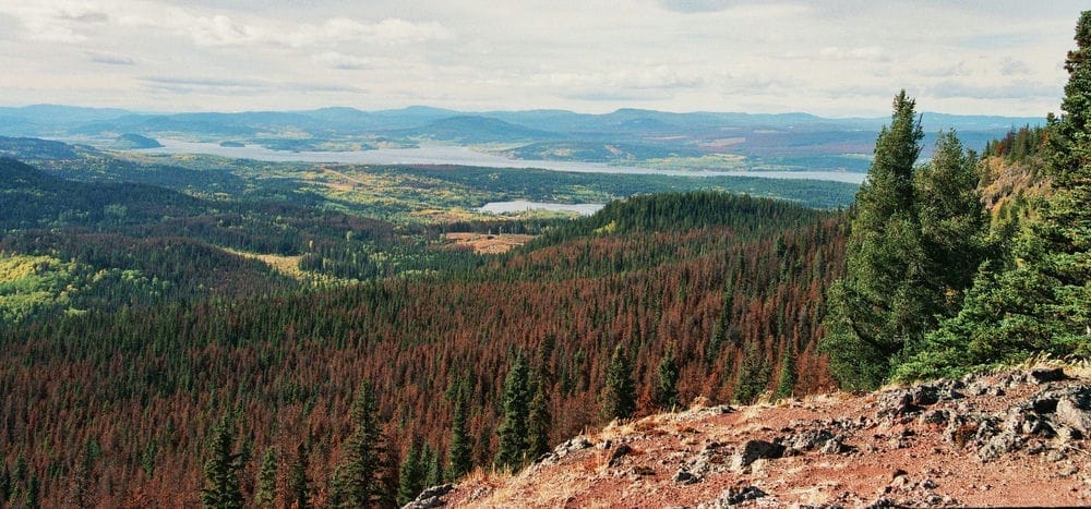 A picture of the Village of Fraser Lake.