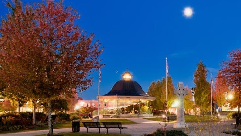A picture of the City of Maple Ridge.