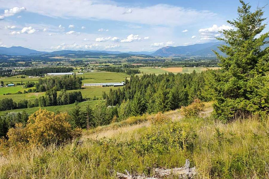 A picture of the District municipality of Spallumcheen.